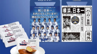 「横浜DeNAベイスターズ 号外ハーバー」