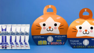 横浜DeNAベイスターズ-感動をありがとうハーバー