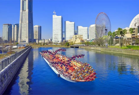 フラワークルーズ