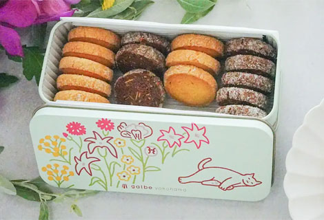 猫のうたたね クッキー缶