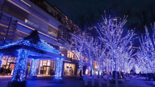 ヨコハマミライト