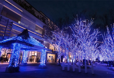 ヨコハマミライト