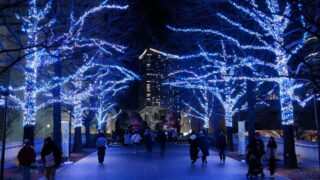 ヨコハマミライト