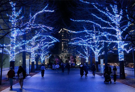 ヨコハマミライト