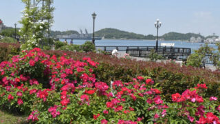 横須賀市ヴェルニー公園