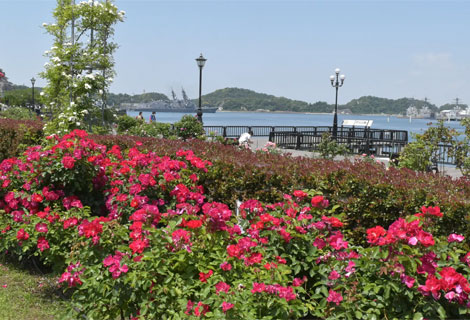 横須賀市ヴェルニー公園