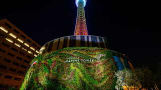 横浜マリンタワー