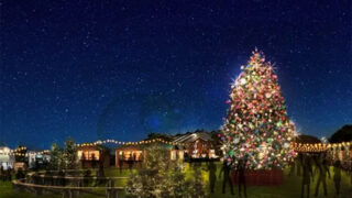 Christmas Market in 横浜赤レンガ倉庫