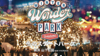 Winter Wonder Park Yokohama