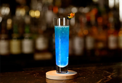 「2026イルミネーションカクテル」