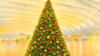 横浜港大さん橋クリスマスツリー