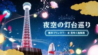 夜空の灯台巡り