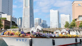 フラワークルーズ