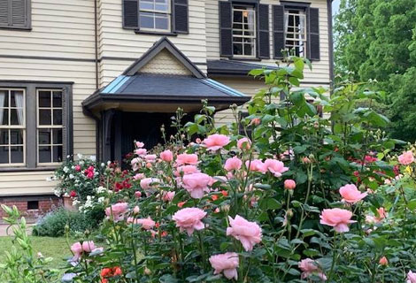 山手ローズウィーク