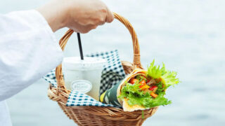 SUN SAN D PICNIC