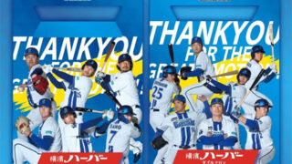 横浜DeNAベイスターズ感動をありがとうハーバー2026